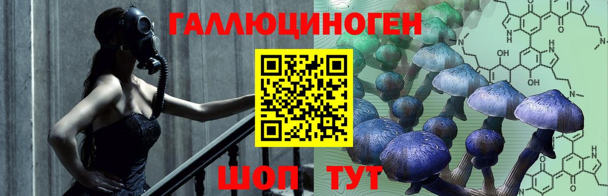 Аша  где купить наркоту  Вход с VPN  Псилоцибиновые грибы мицелий  Галлюциногенные грибы Cubensis 